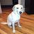 Mark Baugh's profile image