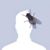 Mark Larson's profile image