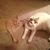 Connie Lober's profile image
