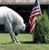 Julie Bruner's profile image