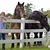 Amannda Beaumier's profile image