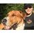Melissa Bjorland's profile image