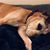 Valerie Smith's profile image