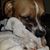Maria Wainscott Duarte's profile image