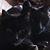 Laura J Litwinetz's profile image