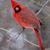 Michael Raffa's profile image
