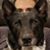 Paul Sandoval's profile image