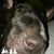 Shawn Zilla Czerwinski's profile image
