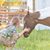 Alexandra Scanlon's profile image