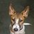 Michael C Cook's profile image