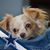 Bill Poirier's profile image