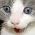 Janet Richard Gross's profile image