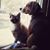 April Jane's profile image