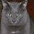 Jim Richardson's profile image