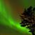 Gwenne Allyn Hensel's profile image