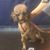 Jean Lafky's profile image