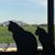 Cindy Evert's profile image