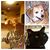 Lori Warwick's profile image