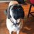 Ronna Barker Purcell's profile image