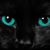 Amy Holt's profile image