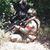 Jourdan Pebley's profile image