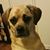 Bruno C Fiorenza's profile image