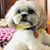Patricia Gloria's profile image
