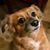 Heidi Whaley's profile image