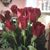 Christine Brown's profile image