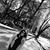 Mariajose Hernandez Cerna's profile image