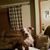 Lori Kenney's profile image