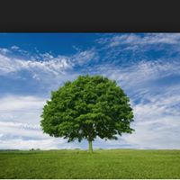Leslie Donnell Redmond's profile image