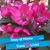 Joyce M. LaPalm's profile image