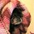 Cat Buechner's profile image