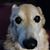Heather Gage's profile image