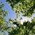 Joyce Dunaway's profile image