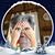 Vanessa Medlin Lubarsky's profile image