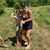 Victoria Hammett's profile image