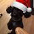 Arlene Fink Baker's profile image