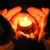 Susan Michelle's profile image
