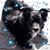 Tracey Walker's profile image