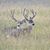 Paula Williams Walters's profile image