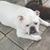 Tammy Medlin-Warren's profile image