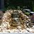 AAA Landscaping & Grounds, Inc.'s profile image
