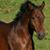 Kate Palmquist's profile image