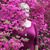 Janice Stewart's profile image