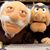 Mike Amidon's profile image