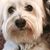 Kim Taylor's profile image