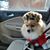 Lisa Thomas Straka's profile image