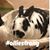 Lori Michniewicz Speiss's profile image